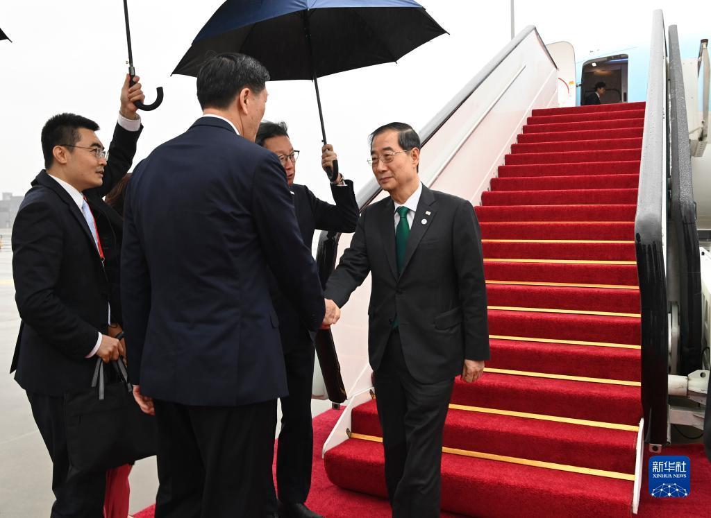 森林用什么游戏平台